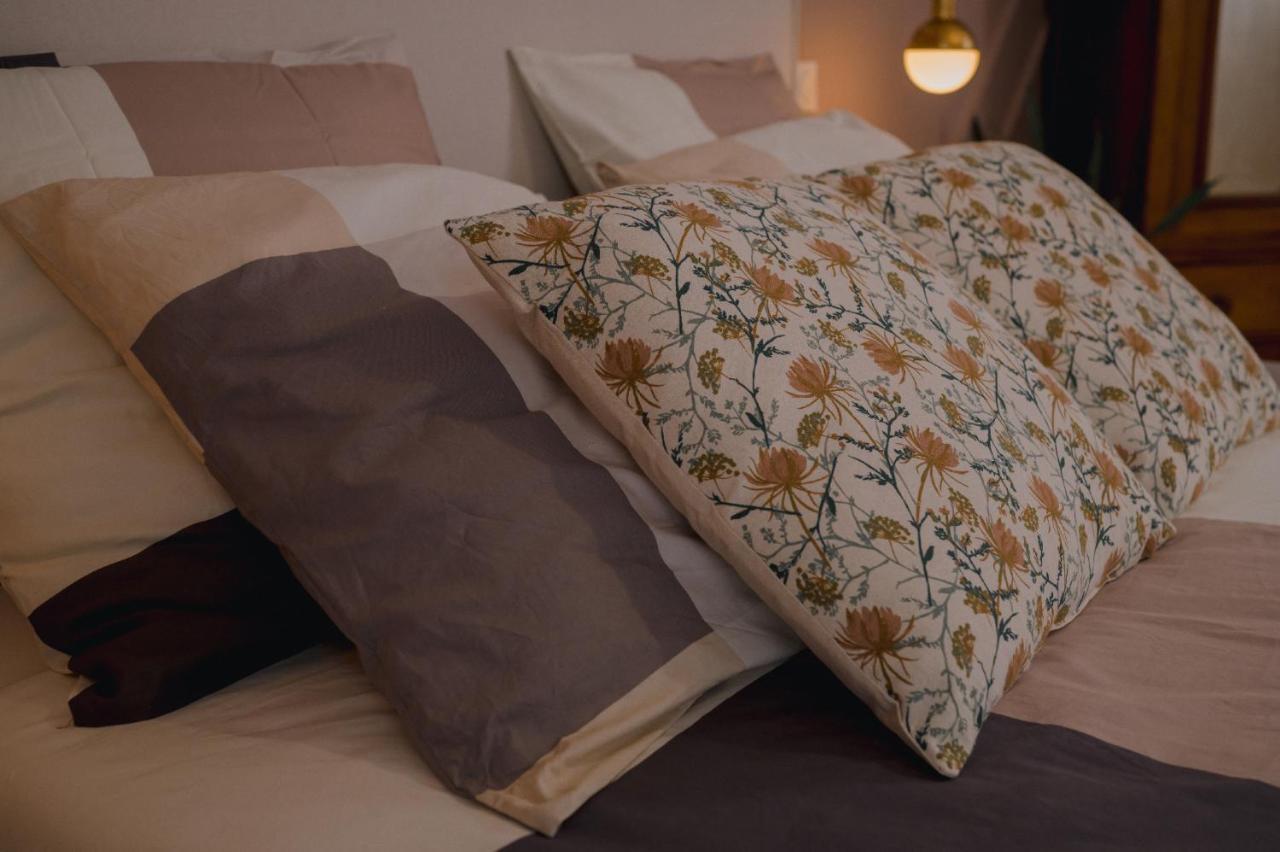Les 3 Berets Chambres D'Hotes Oloron-Sainte-Marie Kültér fotó